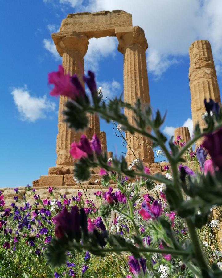 Tesori Di Girgenti Bed and Breakfast Agrigento Buitenkant foto